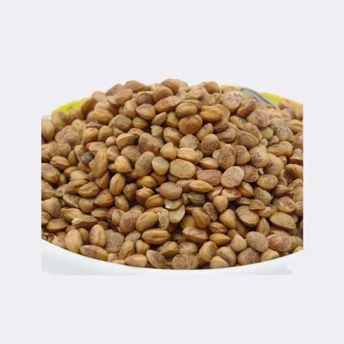 Charoli Seeds image 3